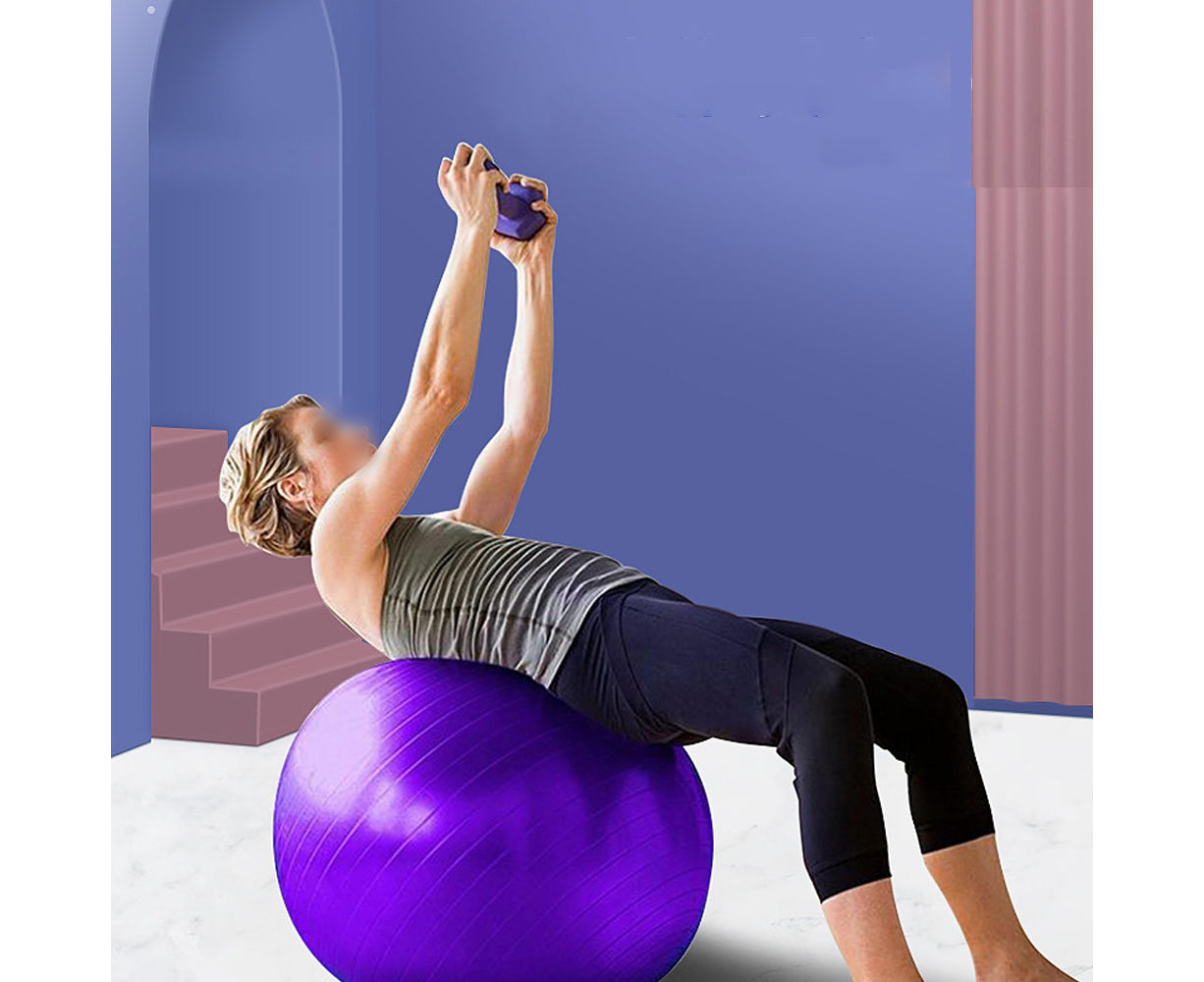 Exercise Ball Balance Ball with Pump for Yoga Pilates Stretching Fitness Home Gym Workout Training -Purple Glossy-45Cm